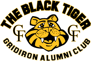 black tiger logo